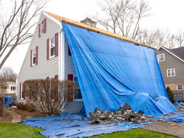 Best Shed Removal  in Westfield, PA